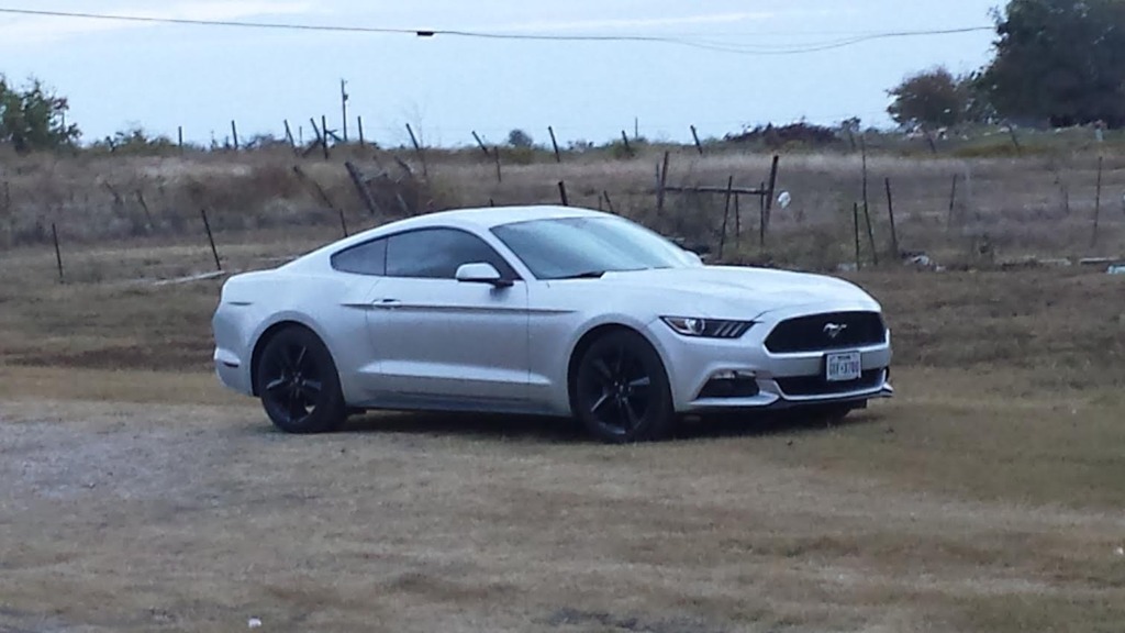 Name:  Stang.jpg
Views: 73
Size:  112.3 KB