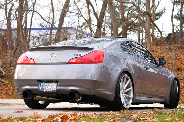 Name:  DSC_0110_zpskxvwmsvo.jpg
Views: 53
Size:  221.1 KB