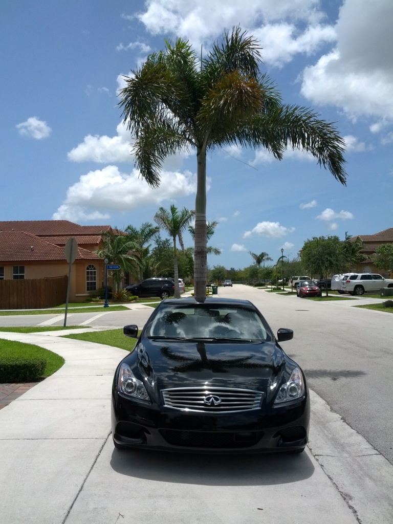 Name:  IMG_20120617_123858.jpg
Views: 53
Size:  282.7 KB