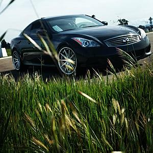 new to the forums from the NorCal Tracy-Stockton Area-g37-grass.jpg