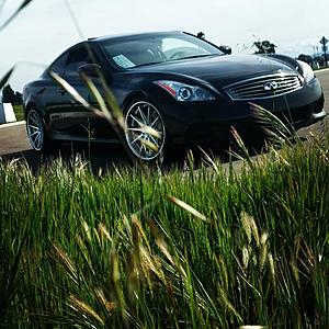 -g37-grass.jpg