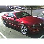 Newb-mustang.jpg