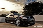 New Owner and Member-g37cvvs082bm.jpg
