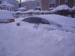 Nemopocalypse!-dsc04013-copy.jpg
