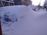 Nemopocalypse!-dsc04010-copy.jpg