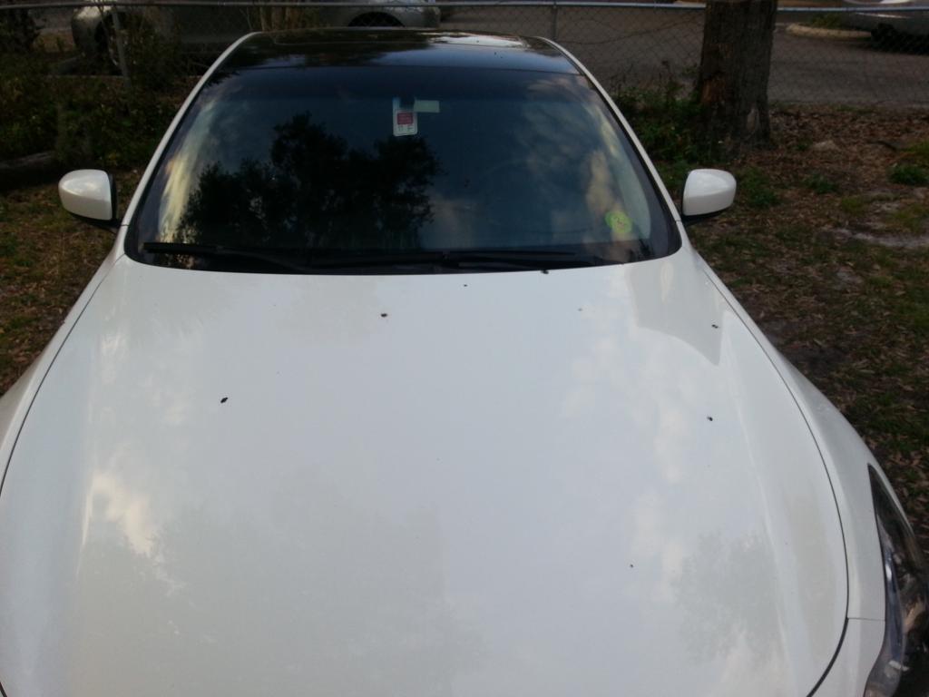 Name:  after4_zpsbad1e694.jpg
Views: 135
Size:  56.2 KB