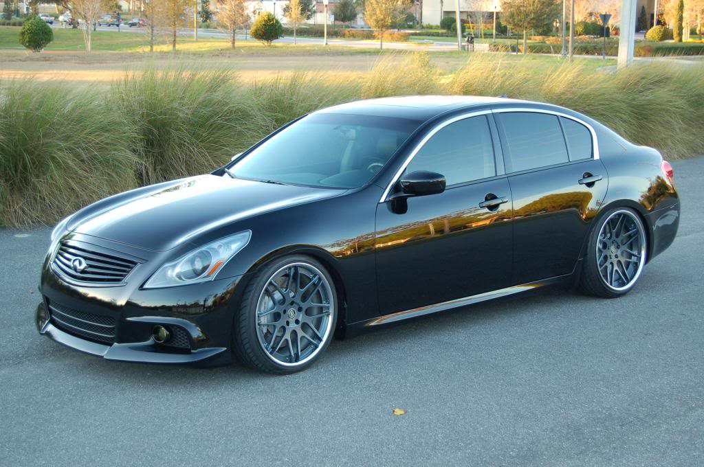 Name:  DSC_0748_zps02f6552b.jpg
Views: 126
Size:  117.3 KB