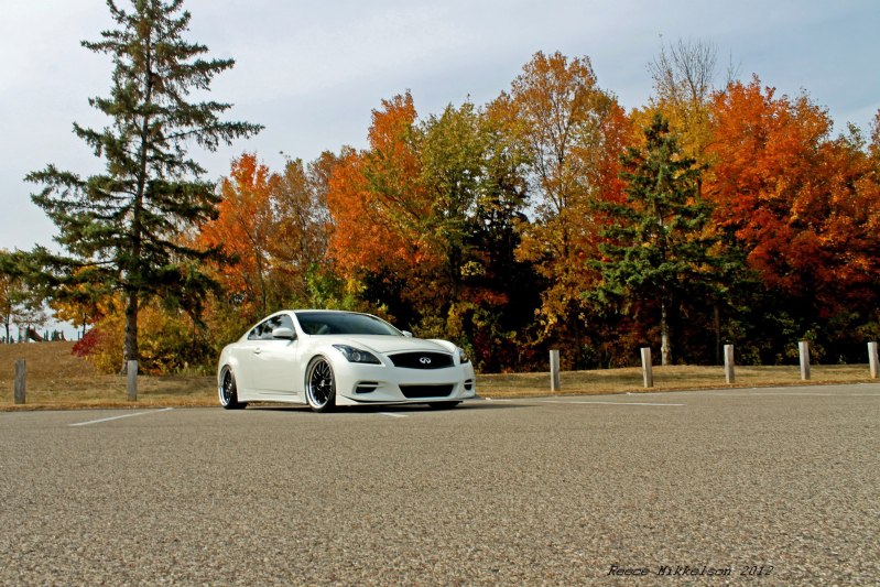 Name:  209374_531995256827580_581909543_o.jpg
Views: 37
Size:  145.8 KB