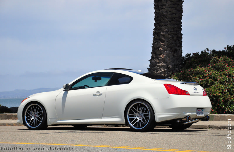 Name:  1006413.jpg
Views: 56
Size:  103.2 KB