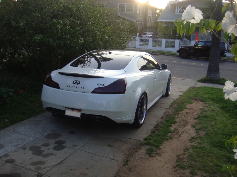 Name:  DSC00684.jpg
Views: 104
Size:  163.8 KB