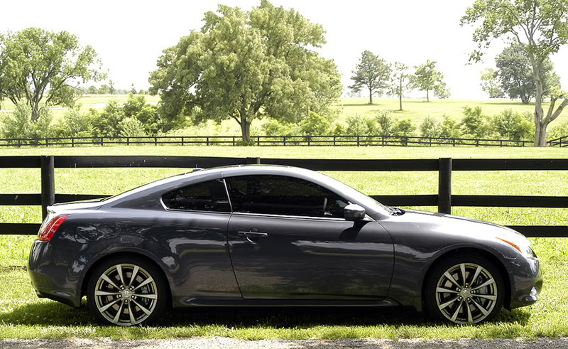 Name:  g37_fence_side.jpg
Views: 780
Size:  135.9 KB