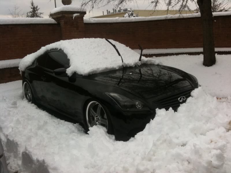 Name:  snowg37.jpg
Views: 146
Size:  59.9 KB