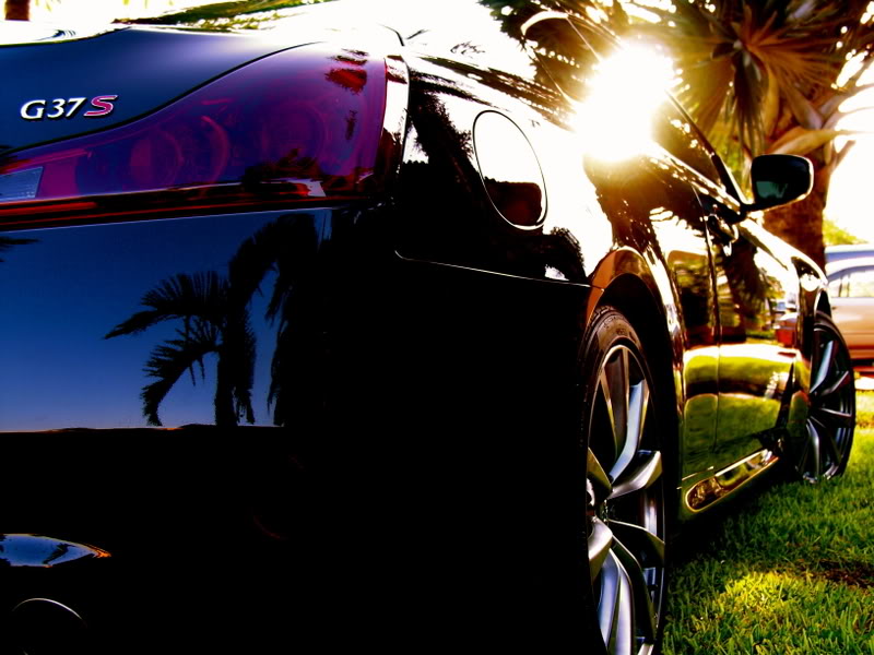 Name:  GRASS4ANTIQUE.jpg
Views: 373
Size:  86.5 KB