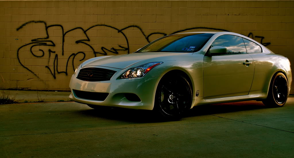 Name:  DSC_2864-1.jpg
Views: 178
Size:  115.1 KB