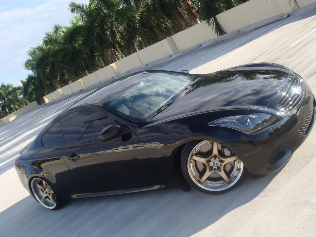 Name:  DSC01982.jpg
Views: 132
Size:  132.8 KB