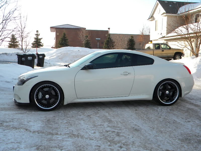 Name:  G37outside_003.jpg
Views: 276
Size:  100.7 KB