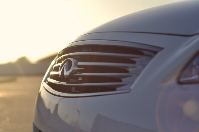 Name:  g376.jpg
Views: 173
Size:  25.0 KB