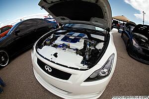 Best pic of your G (ONLY 1 pic please)-st69q.jpg