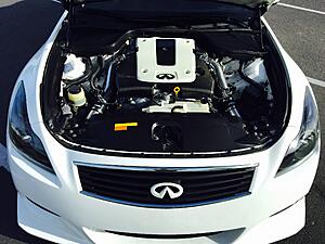 Ivory Pearl G37 Pictures-ffct5hg.jpg