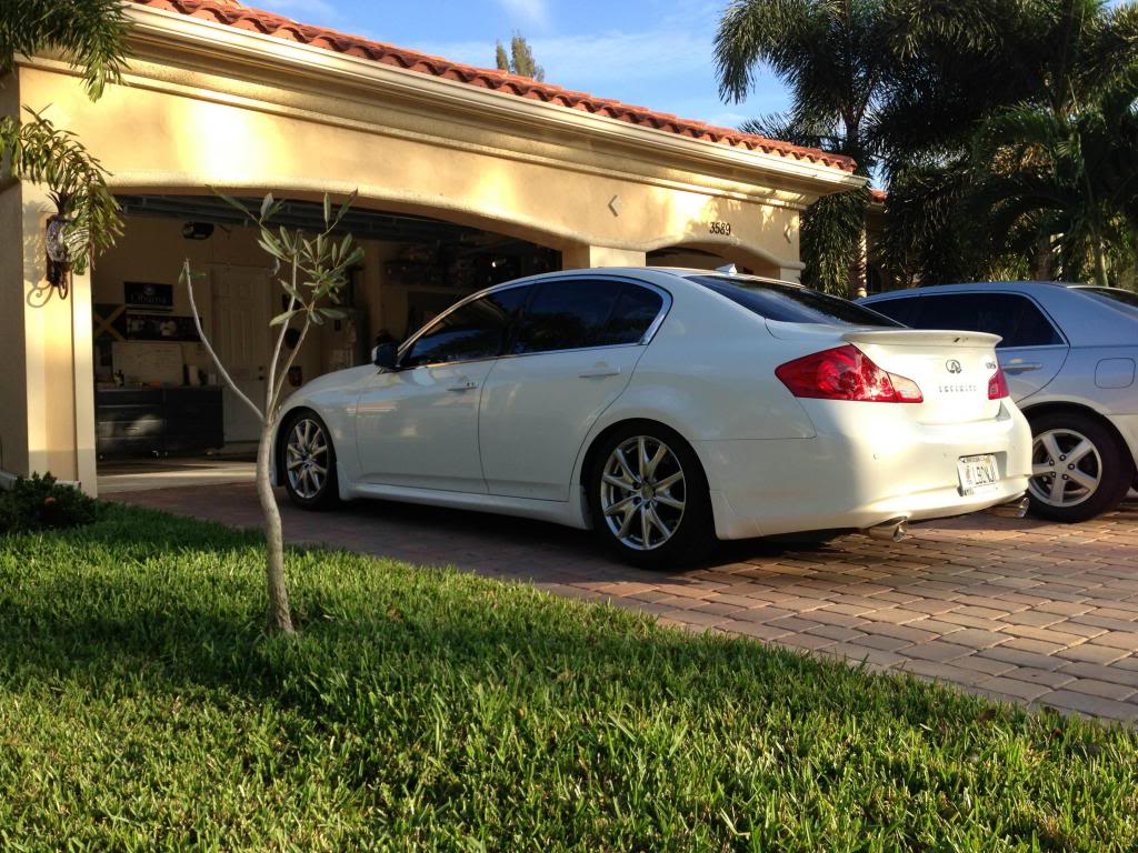 Name:  BackAngle_zpsd090eb75.jpg
Views: 153
Size:  166.2 KB