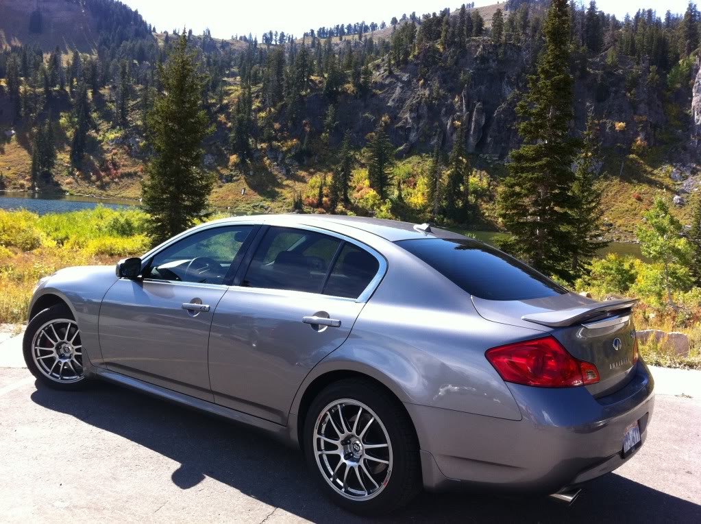 Name:  IMG_3148.jpg
Views: 1247
Size:  198.8 KB