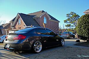 New look for 2014.-mdnvo9l.jpg