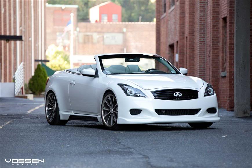 Name: vossen1.jpg
Views: 116
Size: 65.8 KB