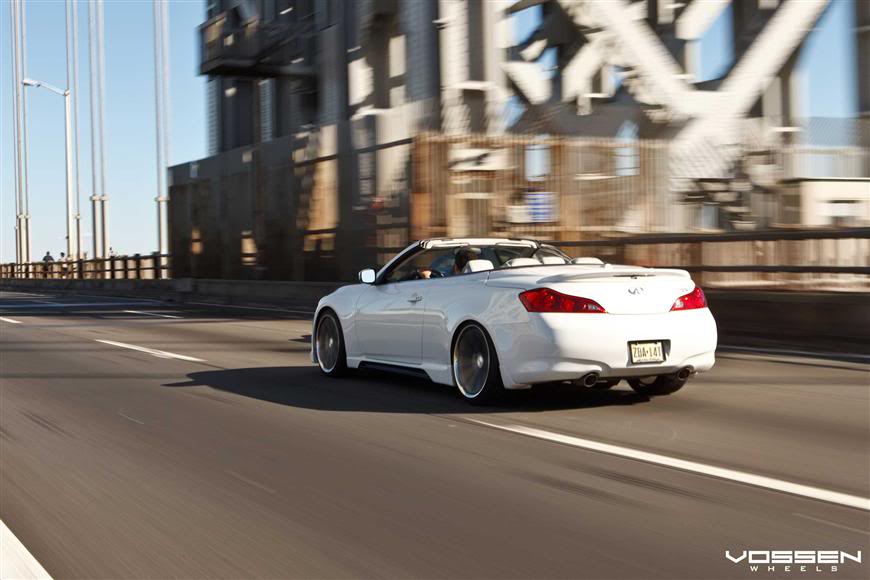 Name: vossen2.jpg
Views: 111
Size: 56.2 KB