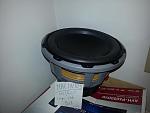 Custom Infiniti dual 10" sub box-sub1.jpg