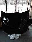 CF Rear trunck spoiler w camera, Hood CF-hood-full-look.jpg
