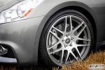 Forgestar F14 - Two Tone Machined Face/Gunmetal-475624_10151206963195849_1251326388_o.jpg