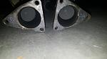 various cats for sale-1451703362409-691662738.jpg