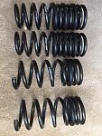 Eibach Pro Kit Lowering Springs RWD-img_0484.jpg