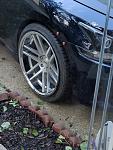 20x10.5 Tsw Rouen-img_20160507_194332.jpg