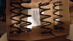 oem springs-imag1527.jpg