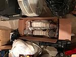 Oem cats-img_9799.jpg