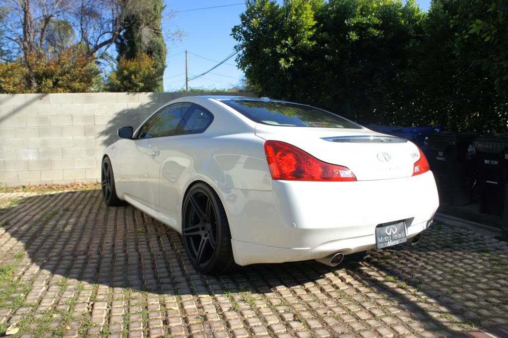 Name:  DSC00884_zps12385329.jpg
Views: 106
Size:  117.8 KB