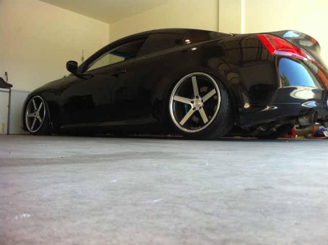 Name:  photo2-7.jpg
Views: 53
Size:  62.8 KB