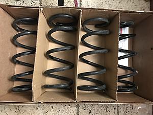 OEM 08-13 G37 Sedan Springs - SoCal-img_0488.jpg