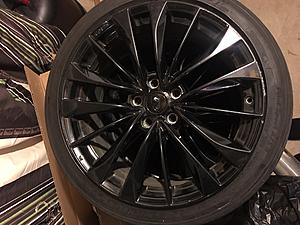 Gthaus exhaust, Motordyne XYZ pipe w/ resonator module, Berk TP, oem 19" rims-image4.jpeg