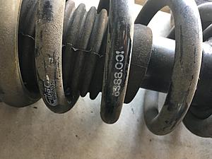 X Struts and Eibach Springs-659f4934-2c44-404b-95b5-c85d73367db7.jpeg