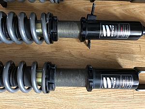 Stance SS True style-7d32dab7-a83d-4fbb-9a46-87f92df308c9.jpeg