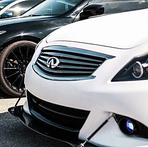 Bumper+Gorilla Splitter-img_7575.jpg