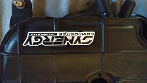 EPS Big Bore Throttle bodies and Ported upper Plenum.-b0y4lxzh.jpg