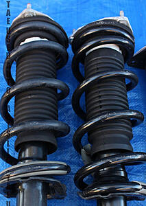 WTB rubber boots from OEM shocks-9kqfflt.jpg