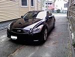 OEM Midnight Grille - Coupe-navecm-333806-albums-2008-g37s-2642-picture-a-10372.jpg