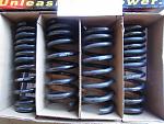 Eibach sedan spring-dsc01299.jpg