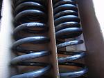 Eibach sedan spring-dsc01303.jpg