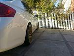 Rotiform BLQ-back-view.jpg