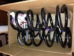 2013 IPL Springs-img_6707.jpg